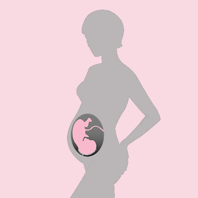 卵子提供を考える視点